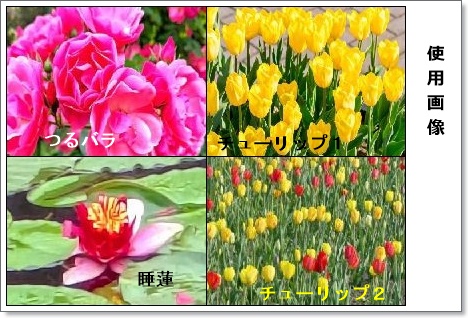 花画像
