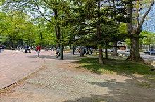 大通り公園